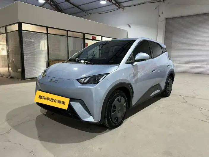 BYD Seagull 2024 Model Honor Edition 305KM Vitality Edition – фото 1