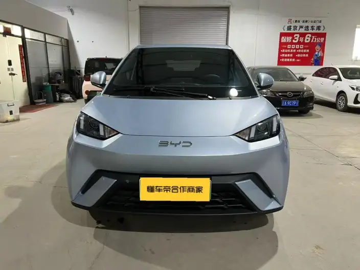 BYD Seagull 2024 Model Honor Edition 305KM Vitality Edition – фото 2