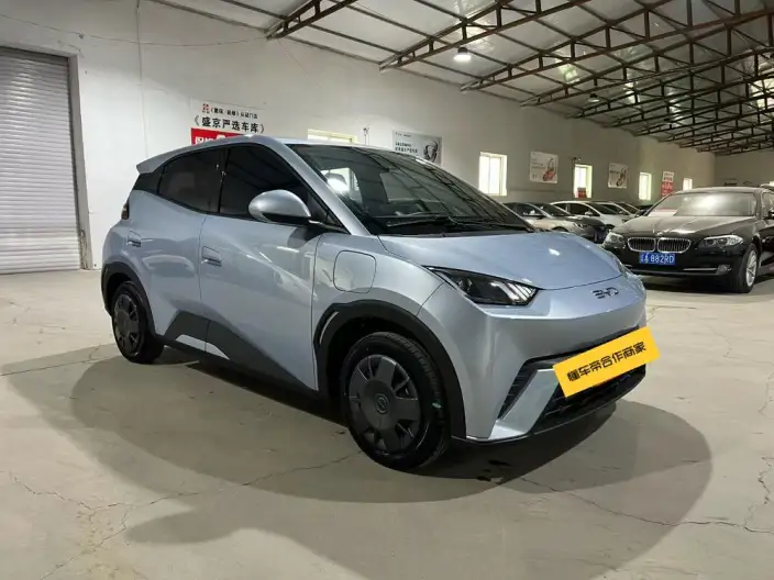 BYD Seagull 2024 Model Honor Edition 305KM Vitality Edition – фото 3