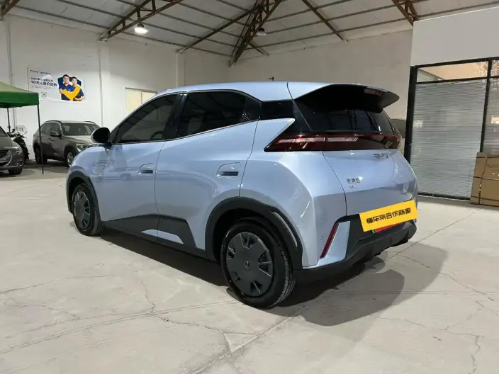BYD Seagull 2024 Model Honor Edition 305KM Vitality Edition – фото 4