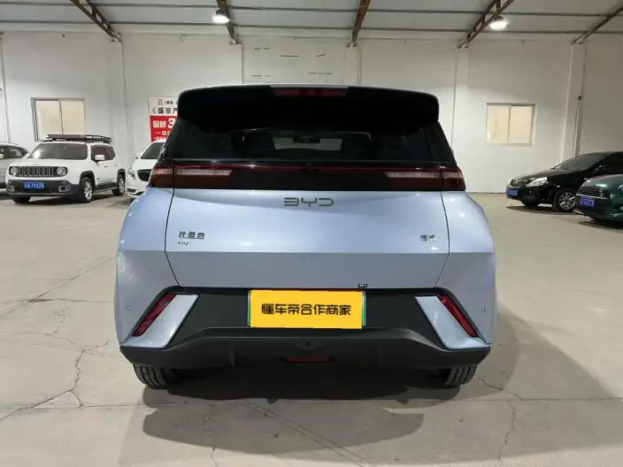 BYD Seagull 2024 Model Honor Edition 305KM Vitality Edition – фото 5