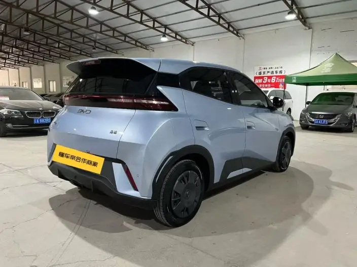 BYD Seagull 2024 Model Honor Edition 305KM Vitality Edition – фото 6