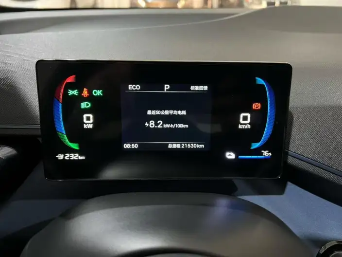 BYD Seagull 2024 Model Honor Edition 305KM Vitality Edition – фото 8