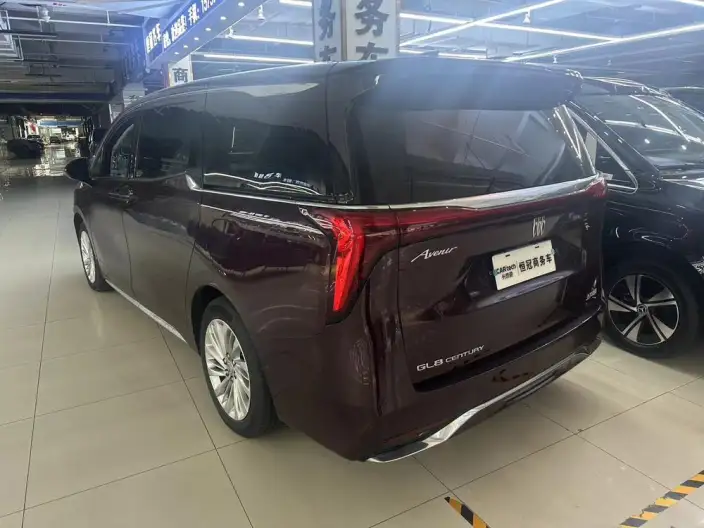 Century 2023 Model 2.0T VI seat Yunshi Edition – фото 3