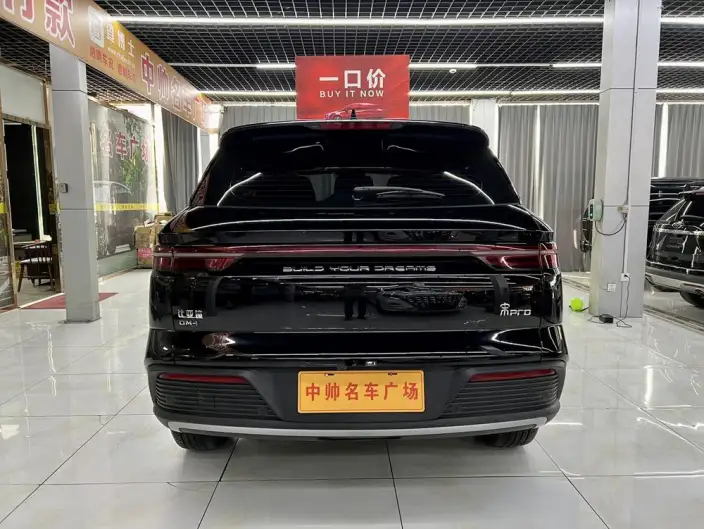 BYD Song Pro DM 2024 Model DM-i Honor Edition 71km Pilot Model – фото 5