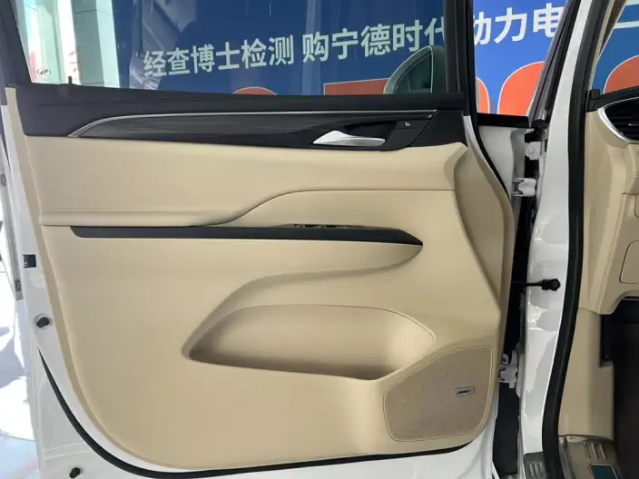 Buick GL8 2022 Model ES Luzun 653T Flagship Model – фото 8