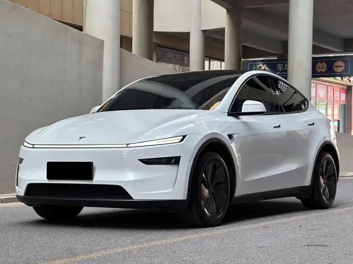 Model Y 2025 Model Rear-wheel drive version – фото 1