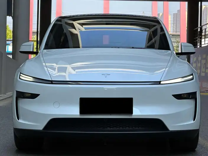 Model Y 2025 Model Rear-wheel drive version – фото 2