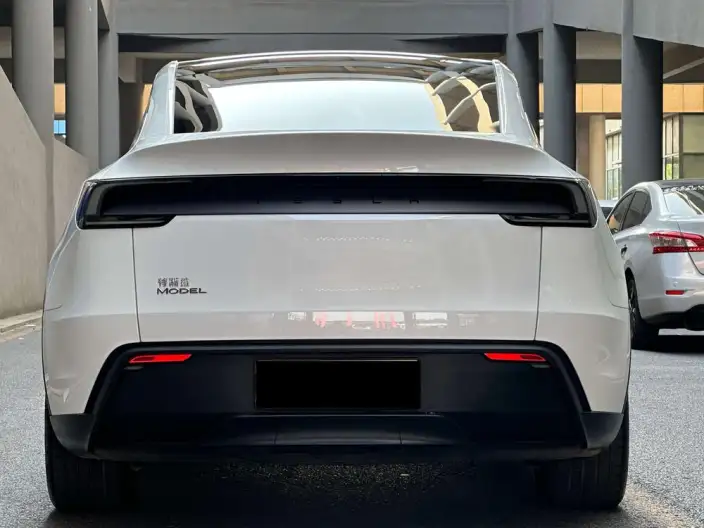 Model Y 2025 Model Rear-wheel drive version – фото 4