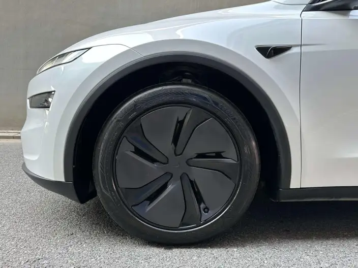 Model Y 2025 Model Rear-wheel drive version – фото 7