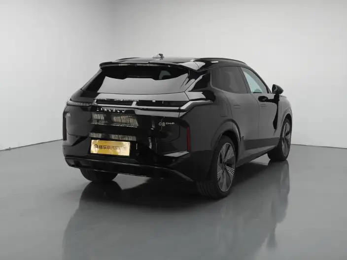 Lynk & Co 08 EM-P 2023 Model 220 4WD Performance Halo – фото 7
