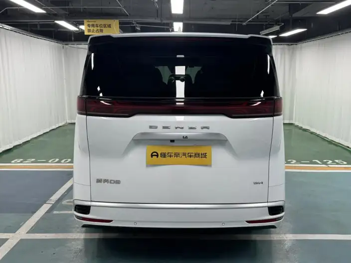 DENZA D9 DM 2024 Model 1050 Exclusive Model – фото 6