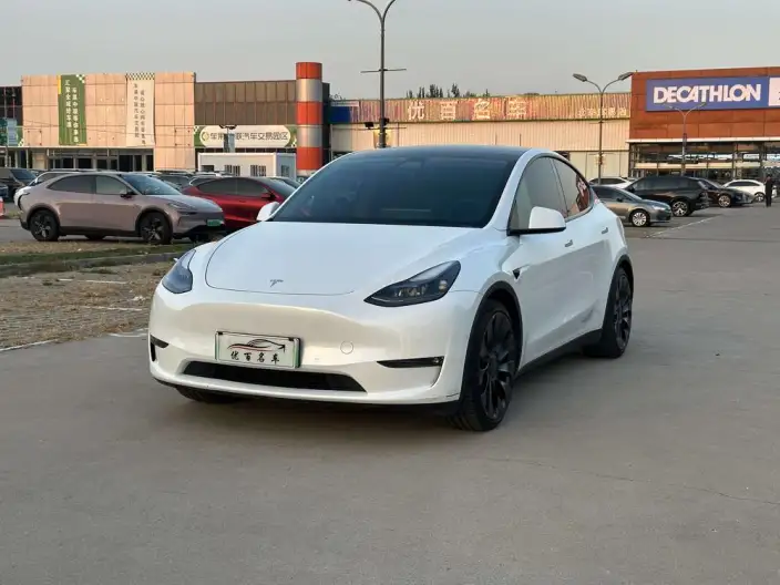 Model Y 2022 Model Performance High performance All-wheel drive version – фото 1
