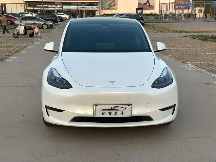 Model Y 2022 Model Performance High performance All-wheel drive version – фото 2