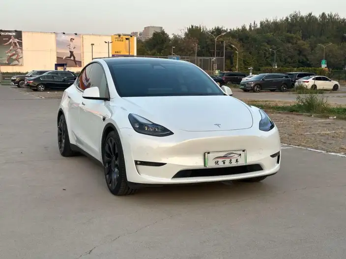 Model Y 2022 Model Performance High performance All-wheel drive version – фото 3