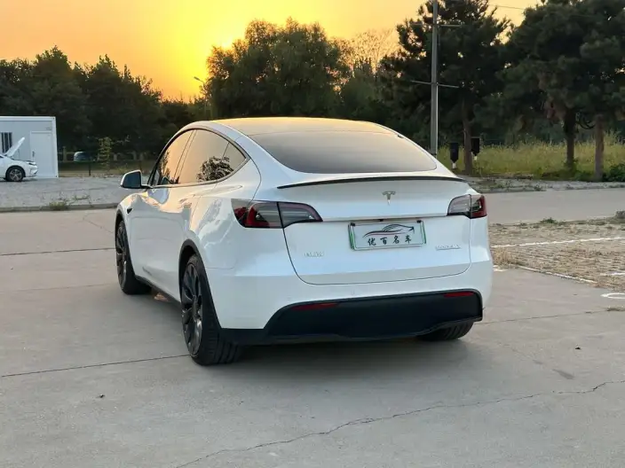 Model Y 2022 Model Performance High performance All-wheel drive version – фото 5