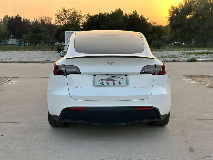 Model Y 2022 Model Performance High performance All-wheel drive version – фото 6