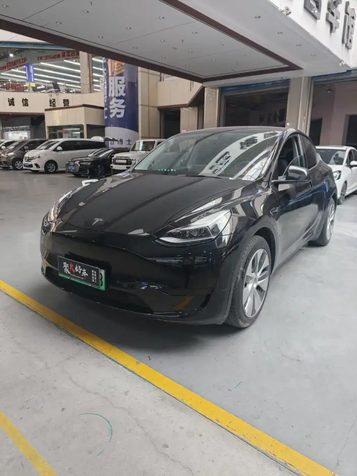 Model Y 2022 Model Rear-wheel drive version – фото 1