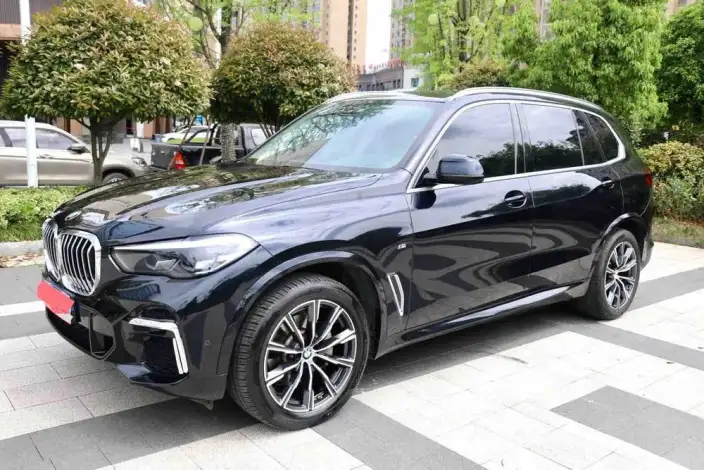 BMW X5 2022 Model xDrive 30Li M Sports Set – фото 1