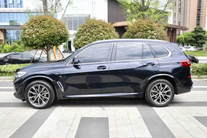 BMW X5 2022 Model xDrive 30Li M Sports Set – фото 2