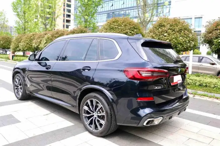 BMW X5 2022 Model xDrive 30Li M Sports Set – фото 3