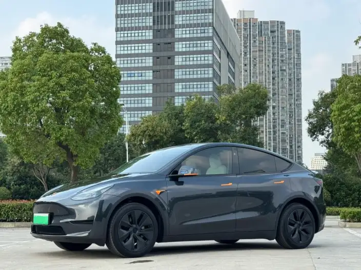 Model Y 2024 Model Rear-wheel drive version – фото 1