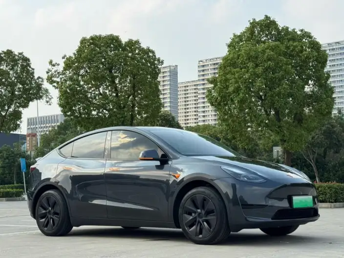 Model Y 2024 Model Rear-wheel drive version – фото 3