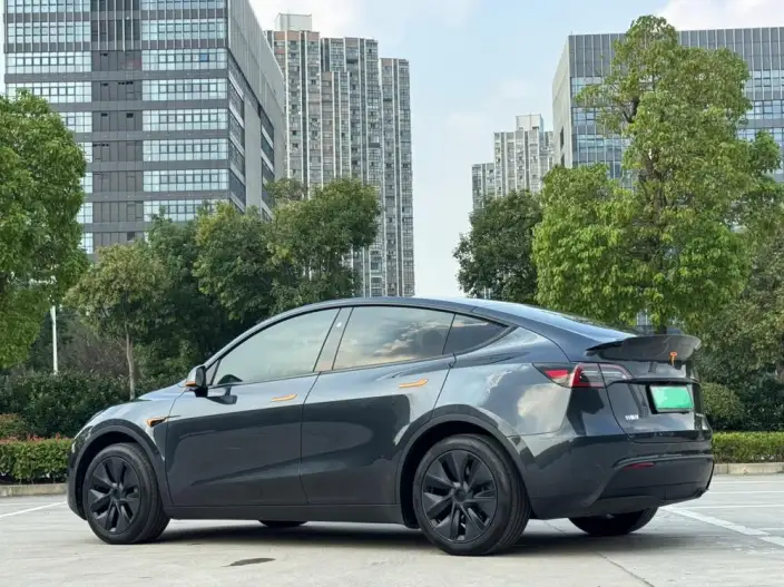 Model Y 2024 Model Rear-wheel drive version – фото 5