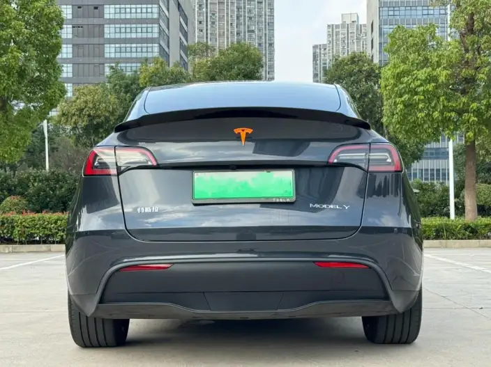 Model Y 2024 Model Rear-wheel drive version – фото 6