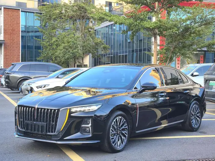 Hongqi H5 2024 Model 2.0T Automatic Flag Enjoy Edition – фото 1