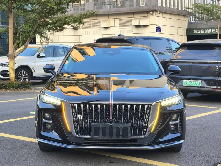 Hongqi H5 2024 Model 2.0T Automatic Flag Enjoy Edition – фото 2