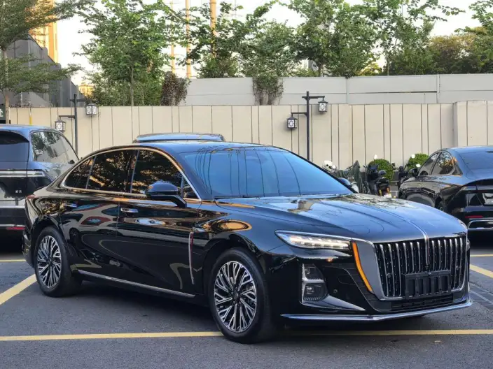 Hongqi H5 2024 Model 2.0T Automatic Flag Enjoy Edition – фото 3