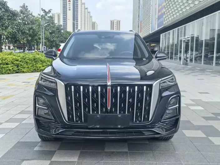 Hongqi HS5 2023 Model 2.0T Flag Xiang Pro Edition – фото 2