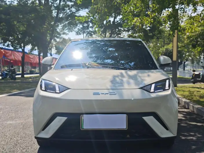 BYD Seagull 2023 Model Vitality Edition – фото 2