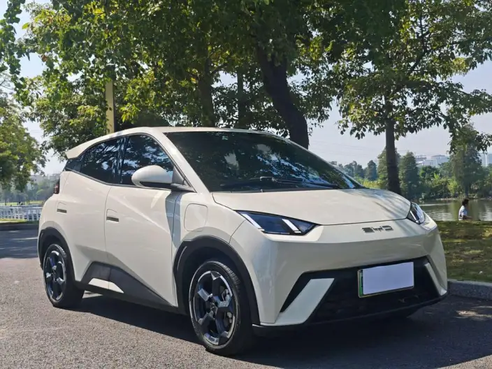 BYD Seagull 2023 Model Vitality Edition – фото 3