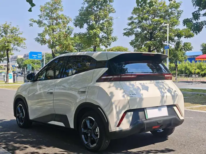BYD Seagull 2023 Model Vitality Edition – фото 5