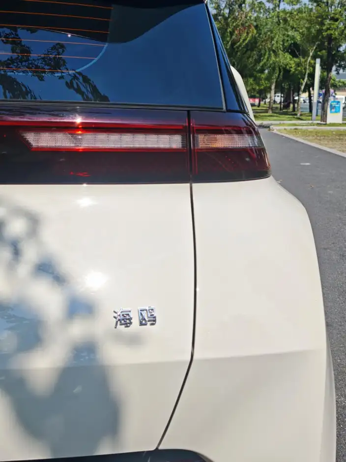 BYD Seagull 2023 Model Vitality Edition – фото 10