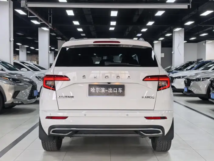 Karoq 2022 Model Facelift TSI280 Luxury Edition – фото 5