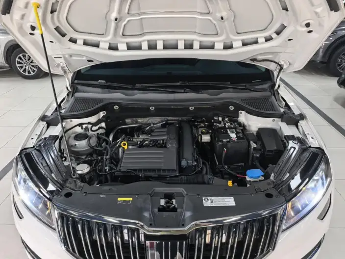Karoq 2022 Model Facelift TSI280 Luxury Edition – фото 8