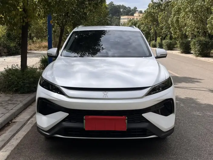 BYD Song Pro DM 2025 Model DM-i 71km Leading Model – фото 2