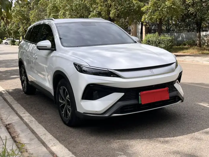 BYD Song Pro DM 2025 Model DM-i 71km Leading Model – фото 3