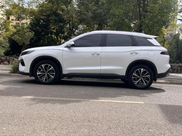 BYD Song Pro DM 2025 Model DM-i 71km Leading Model – фото 4