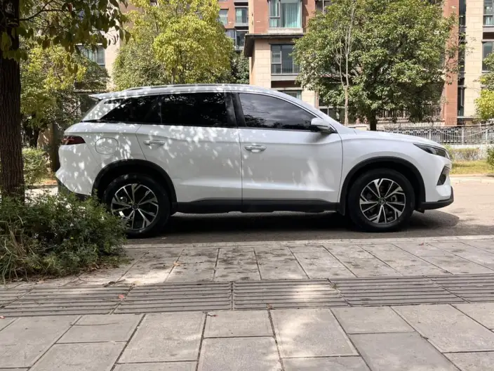 BYD Song Pro DM 2025 Model DM-i 71km Leading Model – фото 8