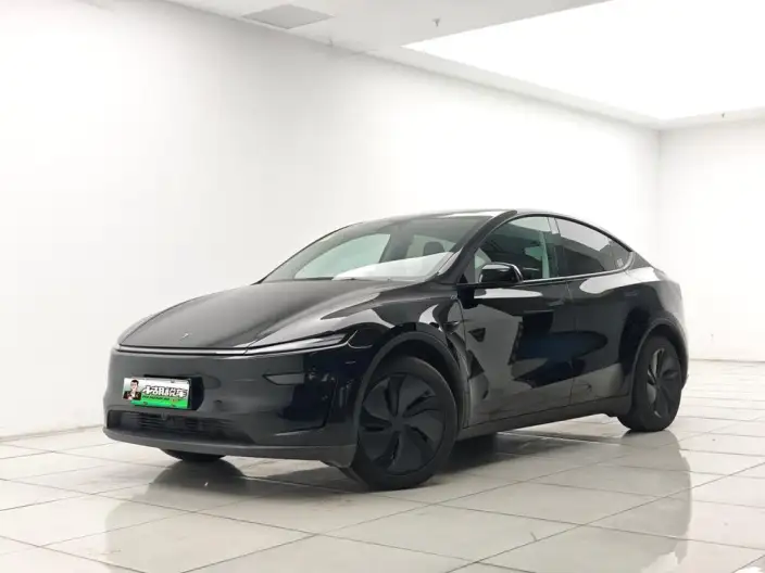 Model Y 2025 Model Rear-wheel drive version – фото 1