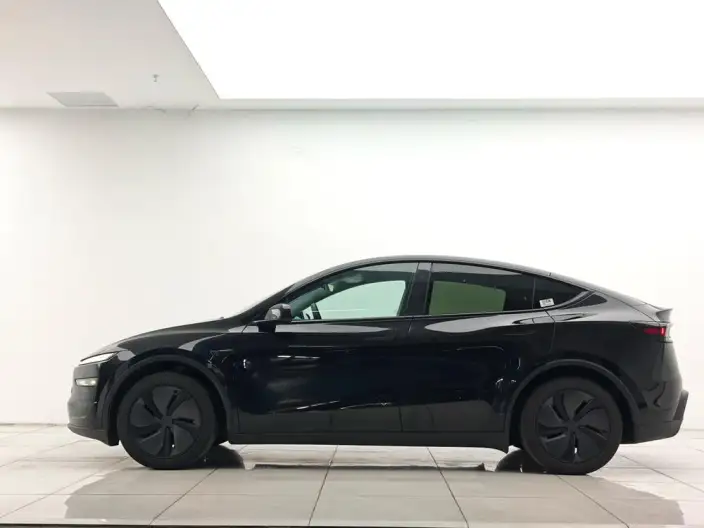 Model Y 2025 Model Rear-wheel drive version – фото 3