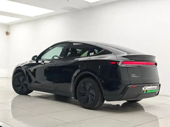 Model Y 2025 Model Rear-wheel drive version – фото 4