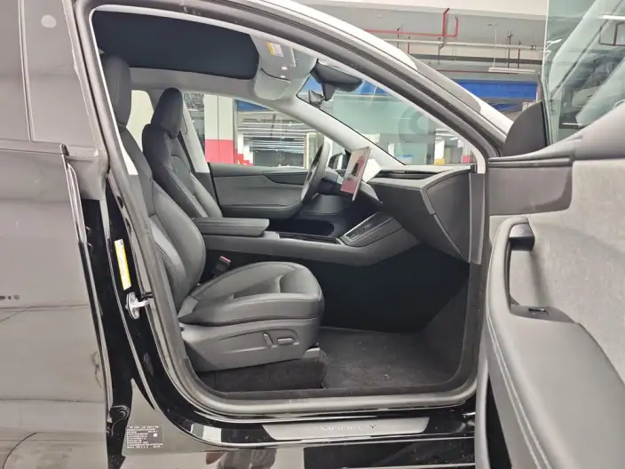 Model Y 2025 Model Rear-wheel drive version – фото 9