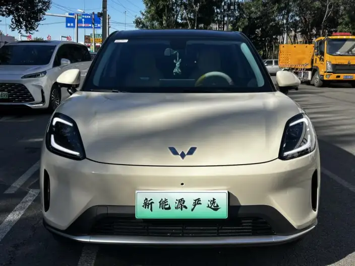 Wuling BingoS 2025 Model 325km Exclusive Model – фото 2