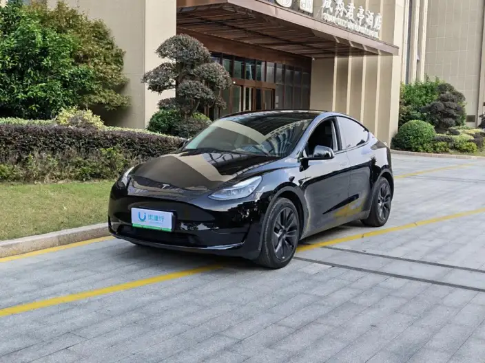Model Y 2023 Model Rear-wheel drive version – фото 1