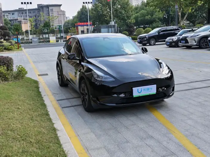 Model Y 2023 Model Rear-wheel drive version – фото 3